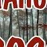 ШАНСОН 2025 НОВИНКИ Музыка Шансон 2025 Новинки Песни Шансон 2025 Слушать Русский Шансон