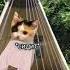 Я заплакала Speedsong Cat Speedup Spedup котик кот котики сон эстетика кошки