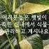 햇빛 안드는 우리집 식물 잘 키우는법 식물 Plants 실내식물