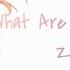 NIGHTCORE Z GIRLS WHAT YOU WAITING FOR