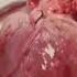 Human Real Heartbeat Sound Effect 60 Bpm Video In 2021 Crazy Status
