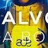 CALVO Panda Bounce