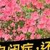 我的女儿是自闭症 老人希望我们再生一个孩子 如果又是自闭怎么办
