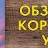 Обзор книги Робин Хобб Королевский Убийца Robin Hobb Royal Assassin