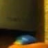 Pokemon Adventures Episode 2 Pikachu Loses His Mind