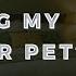 Stealing Best Friend S Older Sister Sweater Bratty Listener Barking F4A FDom