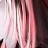 T Pazolite You Are The Miserable