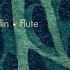 Flute Concerto In D Minor Op 75 I Allegro