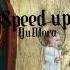 Speed Up Фейерверк ЭЛЕКТРОФОРЕЗ