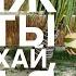 Обзор пляжа Дадунхай Санья Китай
