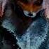 Alice The Fox