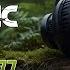 Podcast Climatic Music 177 Tech House Afro House Radio Podcast