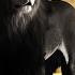 15 Scary Hybrid Animals That Actually Exist