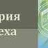 история успеха Селиверстова 1