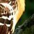 Vivaldi Four Seasons Spring Relaxation Video