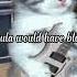 Heaven Knows I M Miserable Now The Smiths Speed Up Lyrics