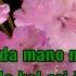 KARAOKE Faina Faina Žilvinas Žvagulis