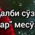 Модар