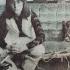 Jim Peterik Don T Fight The Feeling Full Album