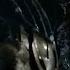 Mega Predator Vs Predator Fight Scene The Predator 2018 Movie Clip HD