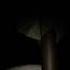 The Rake Remastered Jumpscares Being Chased SCARIEST CHASE EVER