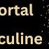 Twin Flames Solstice Portal Divine Masculine Activating Now