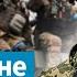 Ці будзе Украіна мірыцца з Лукашэнкам пасля вайны Каліновец перашкодзіць гэтаму Ваяры
