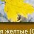 Песня Листья жёлтые песня сопраносветланаорлова подпишись Song Sopranosvetlanaorlova Subscribe