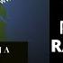 Raving Ninja Vol 11 Makina Fast Italian Hardcore Eurodance German Trance The New Monkey After Dark