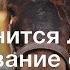 К чему снится Лошадь Толкование сна по сонникам Фрейда и Ванги