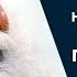 Sadhguru Realize The Difference Between Yourself And Your Personality Enlightenment Awakening