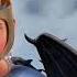 What If Httyd Rtte How To Train Your Dragon Race To The Edge Eit