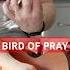 Ziferblat Bird Of Pray