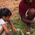 Transforming Barren Land Into A Food Forest Watch Us Create An Organic Food Forest From Scratch