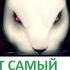 BIGO LIVE НХЧ Vs KM Тот Самый пинает Лису из клана Мамаепов точнее сброда неадекватов