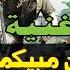 المصرين مبيكمبروش أقوي اغنيه مصريه ببجي موبايل