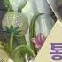 쁘띠모 통일아리랑 부채춤 나라사랑 전통 부채춤 2018