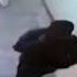 Момент кражи в детской больнице в Бишкеке попал на видео