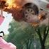 Super Power Baby Use Magic Save An Elderly From Car Accident Unware She S Mom Of CEO Fate Change