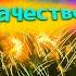 Салют Fireworks смотреть бесплатно онлайн в хорошем качестве