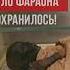 Тело фараона аль Валид ибн Мус аб сохранилось до наших дней и пребывает в музее Египта ислам думу