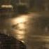 Soothing Gentle Rain In The Old Park At Night 10 Hours For Relaxation And Sleep