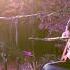 Universe Tacy Byliśmy Cover Live Session