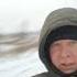Сибирь Красноярский край сбор облепихи
