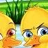 Rosaku I Shemtuar Ugly Duckling In Albanian AlbanianFairyTales