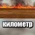 Самая неудачная операция США по борьбе с запрещёнными веществами