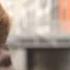 LUNAFLY Day By Day English Version Lyrics