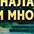 ДОЛГОЖДАННЫЙ ДЕТЕКТИВ НАКОНЕЦ ВЫШЕЛ РУССКИЕ СЕРИАЛЫ Девичий лес 1 4 Серии