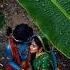 അല പ യ ത കണ ണ Jayashree Rajeev Classicalmusic Classical Radhakrishna Krishna Shorts