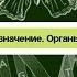 Биология 8 класс 33 Выделение и его значение Органы мочевыделения